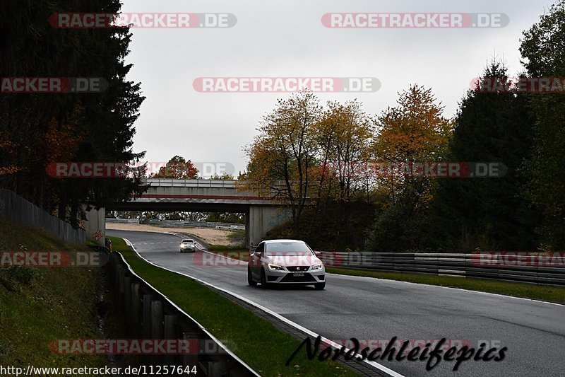 Bild #11257644 - Touristenfahrten Nürburgring Nordschleife + GP Strecke (24.10.2020)