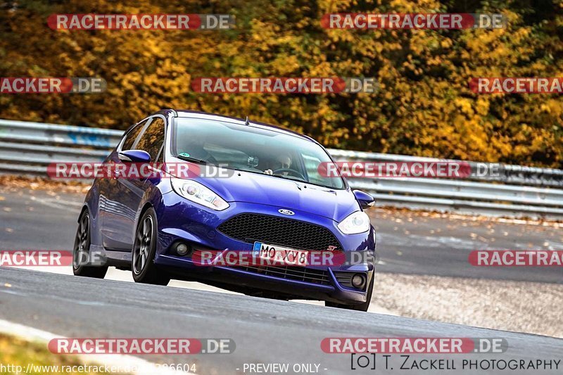 Bild #11286604 - Touristenfahrten Nürburgring Nordschleife + GP Strecke (24.10.2020)