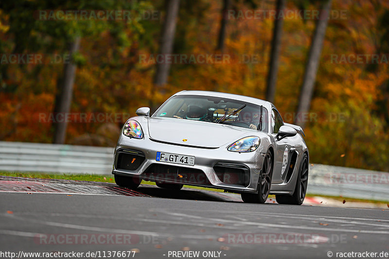 Bild #11376677 - Manthey-Racing Nordschleifen Trackday