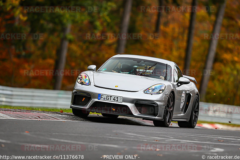 Bild #11376678 - Manthey-Racing Nordschleifen Trackday