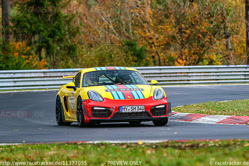 Bild #11377055 - Manthey-Racing Nordschleifen Trackday