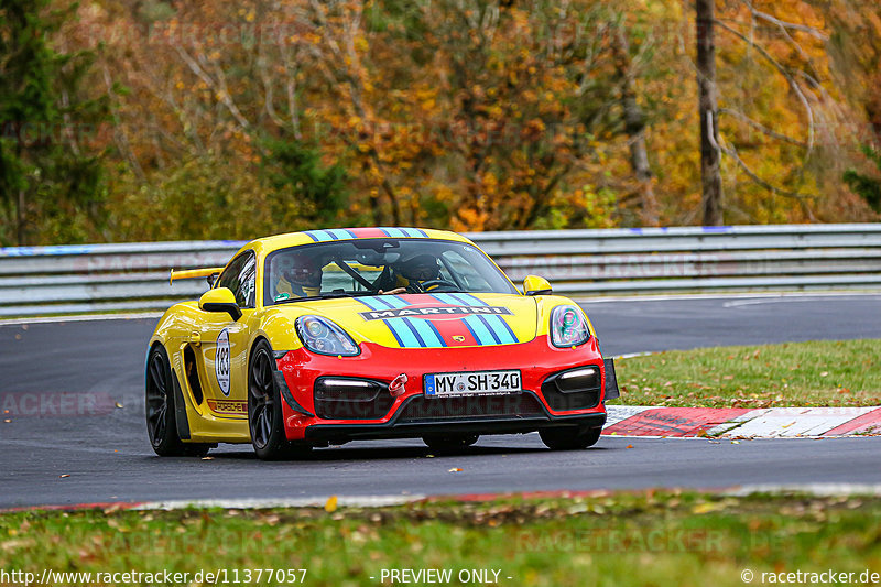 Bild #11377057 - Manthey-Racing Nordschleifen Trackday