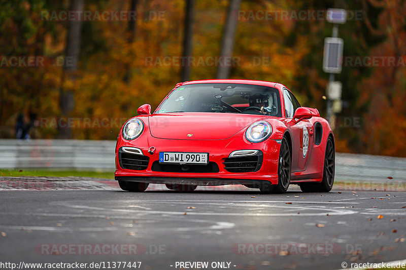 Bild #11377447 - Manthey-Racing Nordschleifen Trackday