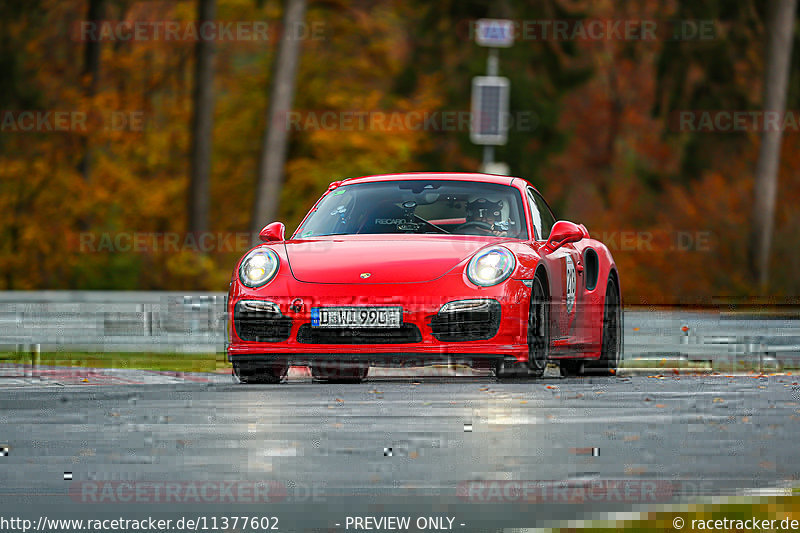 Bild #11377602 - Manthey-Racing Nordschleifen Trackday