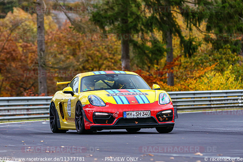 Bild #11377781 - Manthey-Racing Nordschleifen Trackday