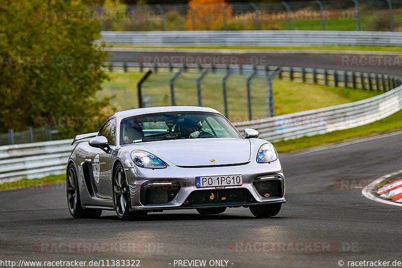 Bild #11383322 - Manthey-Racing Nordschleifen Trackday