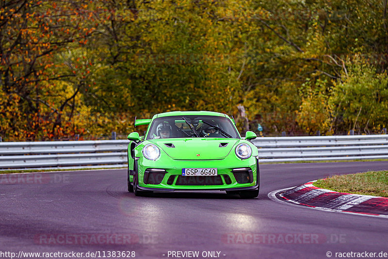 Bild #11383628 - Manthey-Racing Nordschleifen Trackday