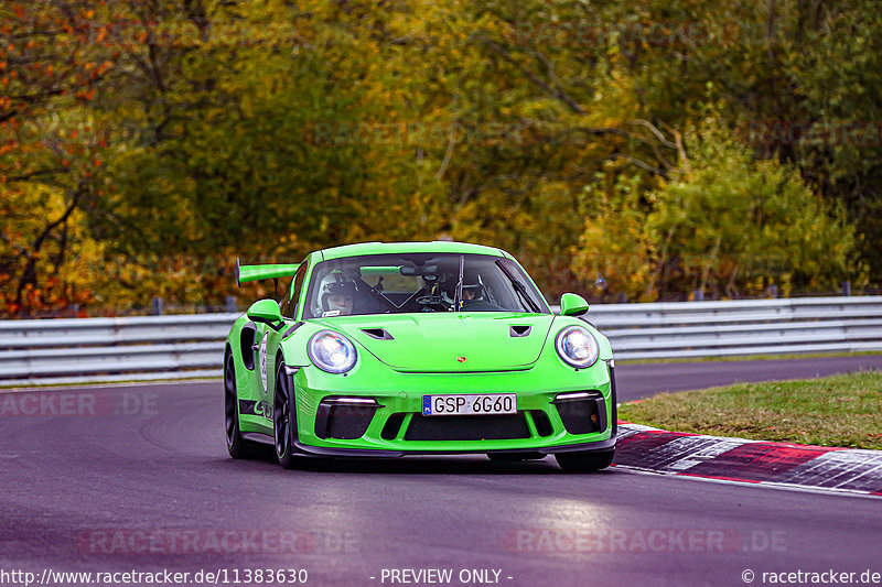 Bild #11383630 - Manthey-Racing Nordschleifen Trackday