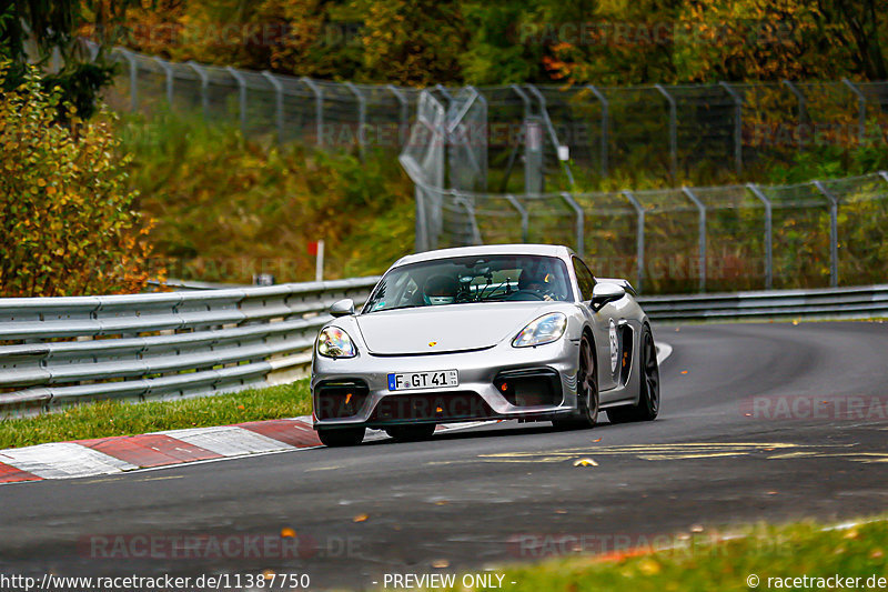 Bild #11387750 - Manthey-Racing Nordschleifen Trackday