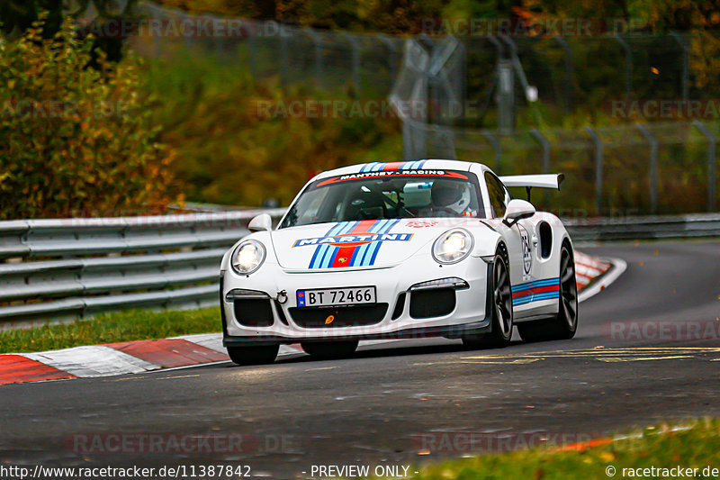Bild #11387842 - Manthey-Racing Nordschleifen Trackday