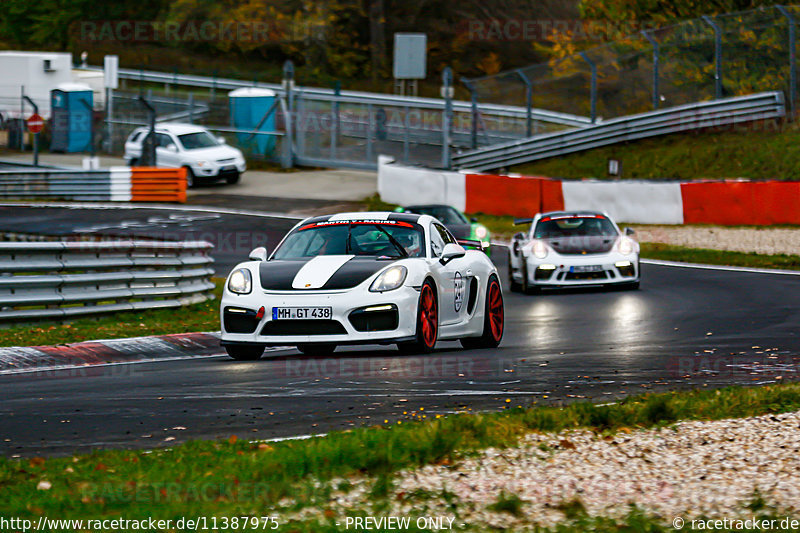 Bild #11387975 - Manthey-Racing Nordschleifen Trackday