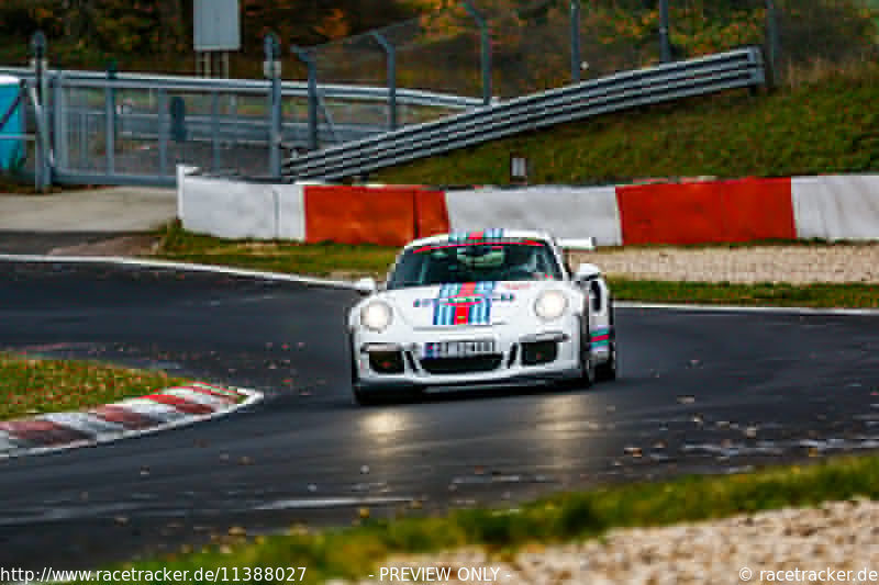 Bild #11388027 - Manthey-Racing Nordschleifen Trackday