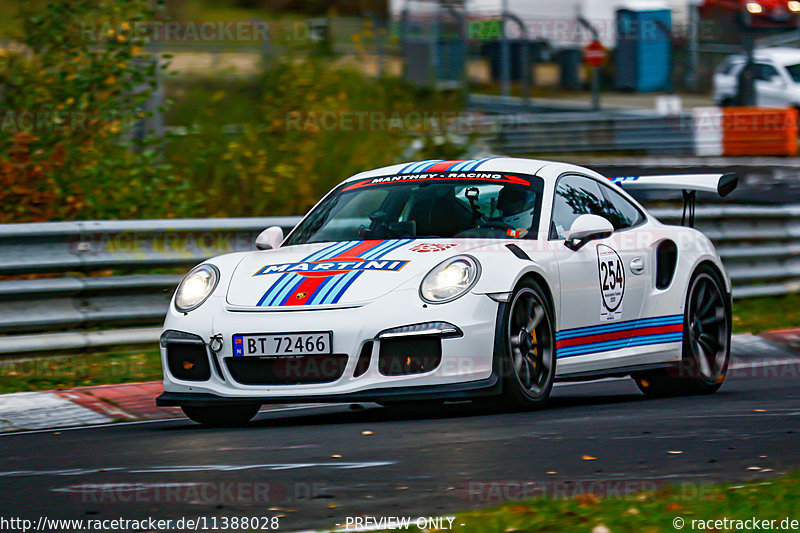 Bild #11388028 - Manthey-Racing Nordschleifen Trackday
