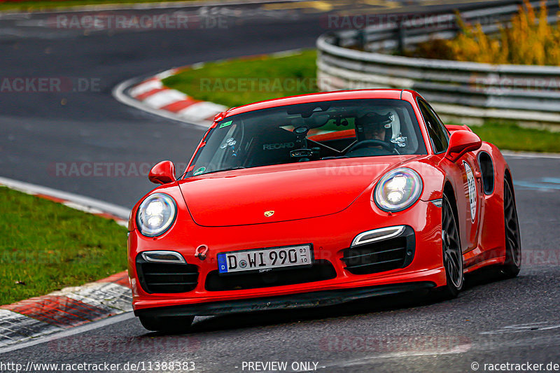 Bild #11388383 - Manthey-Racing Nordschleifen Trackday