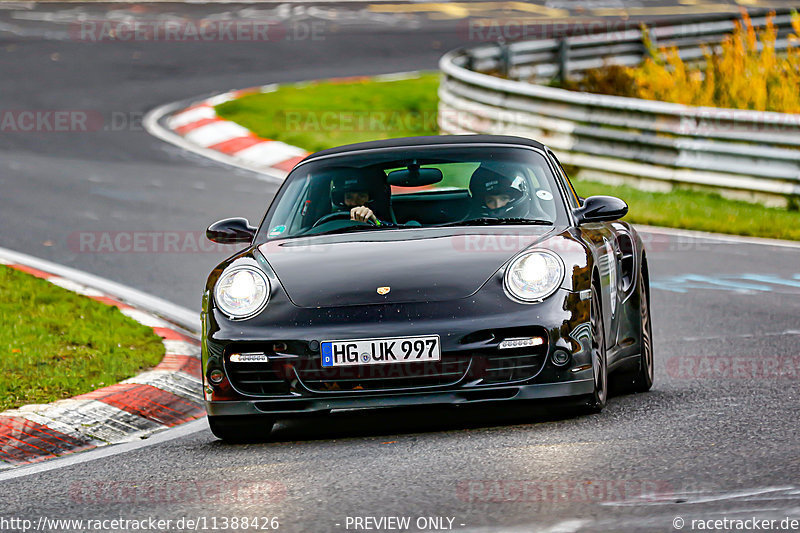 Bild #11388426 - Manthey-Racing Nordschleifen Trackday