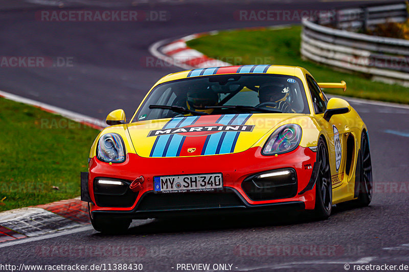 Bild #11388430 - Manthey-Racing Nordschleifen Trackday