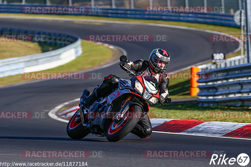 Bild #11877184 - Touristenfahrten Nürburgring Nordschleife (29.03.2021)