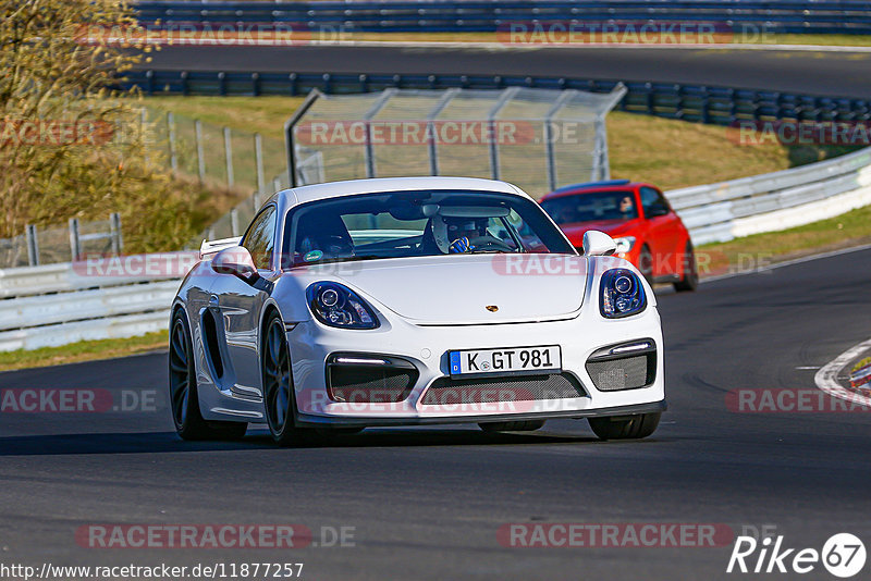 Bild #11877257 - Touristenfahrten Nürburgring Nordschleife (29.03.2021)