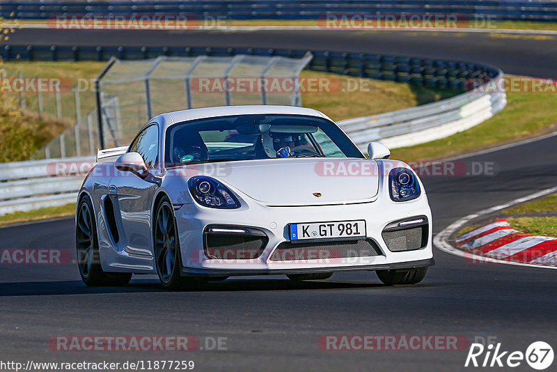 Bild #11877259 - Touristenfahrten Nürburgring Nordschleife (29.03.2021)