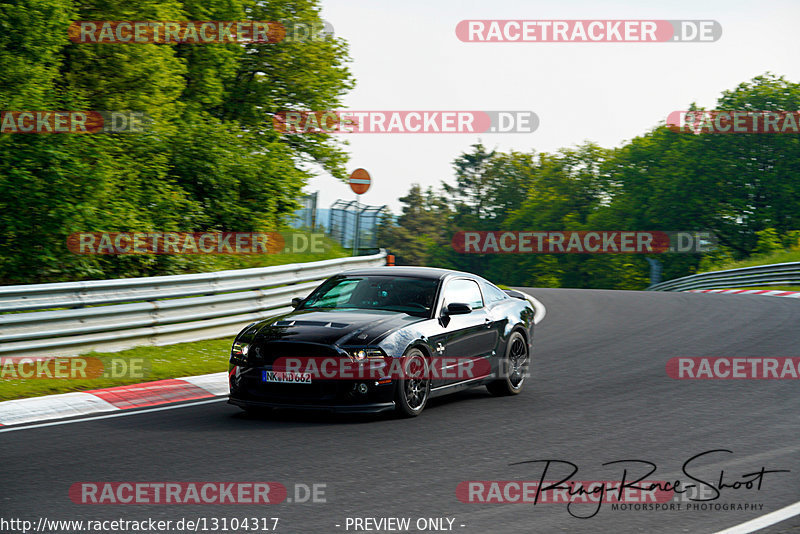 Bild #13104317 - Touristenfahrten Nürburgring Nordschleife (08.06.2021)