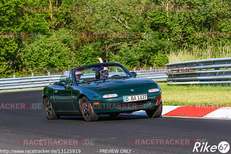 Bild #13125919 - Touristenfahrten Nürburgring Nordschleife (10.06.2021)