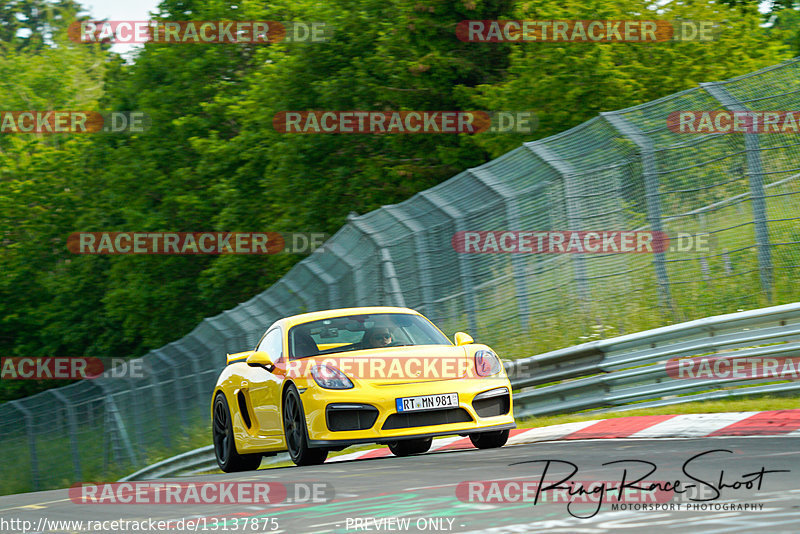 Bild #13137875 - Touristenfahrten Nürburgring Nordschleife (12.06.2021)