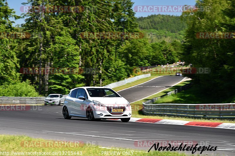 Bild #13215443 - Touristenfahrten Nürburgring Nordschleife (13.06.2021)