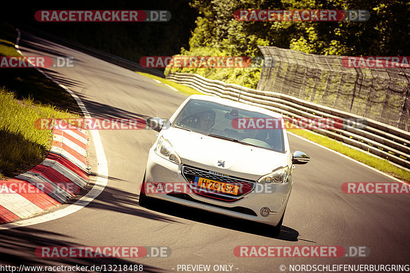 Bild #13218488 - Touristenfahrten Nürburgring Nordschleife (13.06.2021)