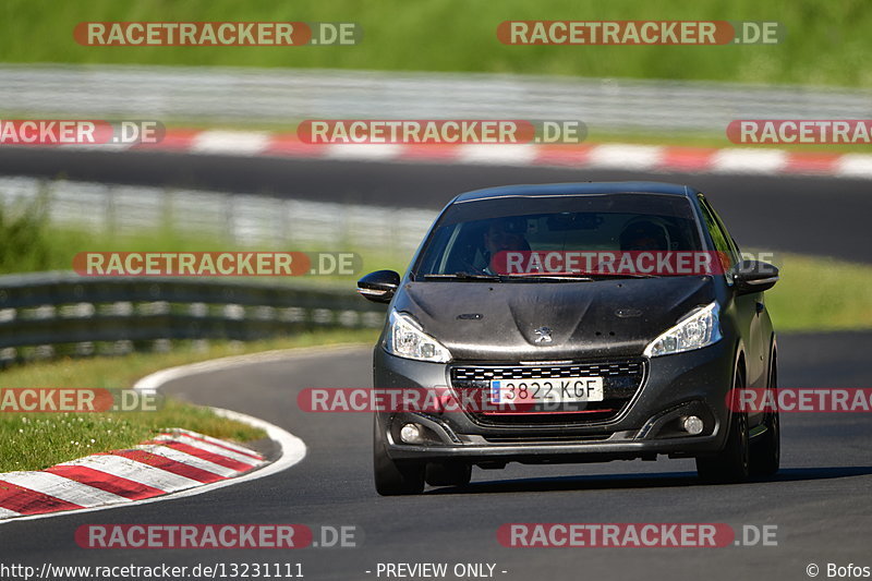 Bild #13231111 - Touristenfahrten Nürburgring Nordschleife (13.06.2021)