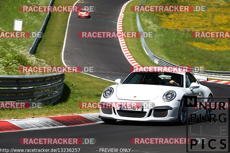 Bild #13236257 - Touristenfahrten Nürburgring Nordschleife (13.06.2021)