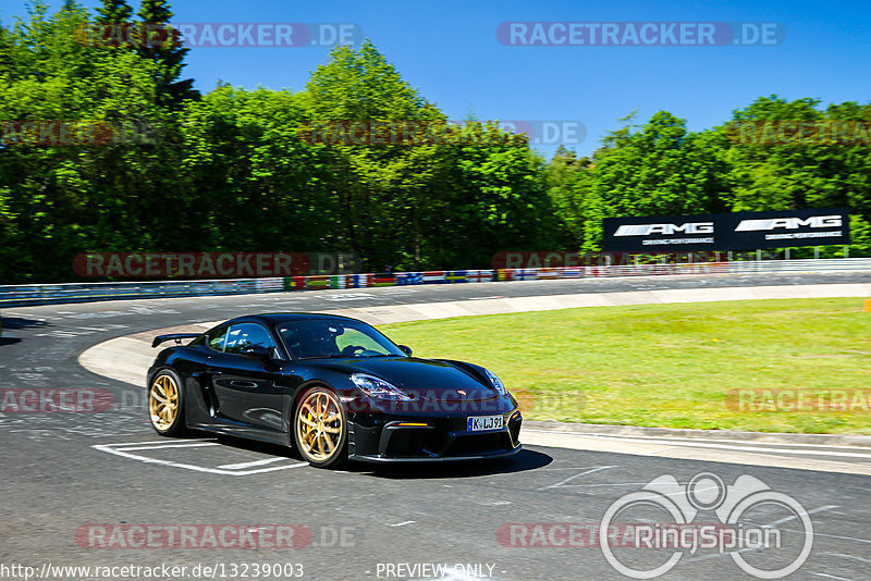 Bild #13239003 - Touristenfahrten Nürburgring Nordschleife (13.06.2021)