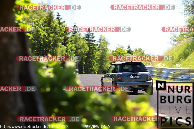 Bild #13258319 - Touristenfahrten Nürburgring Nordschleife (13.06.2021)