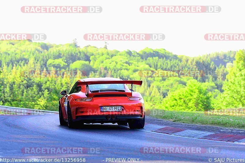 Bild #13256958 - Touristenfahrten Nürburgring Nordschleife (14.06.2021)