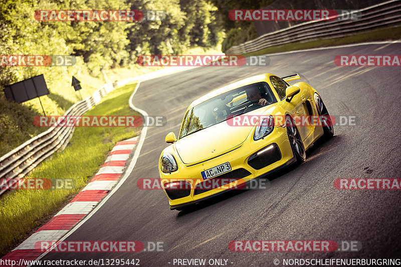 Bild #13295442 - Touristenfahrten Nürburgring Nordschleife (18.06.2021)