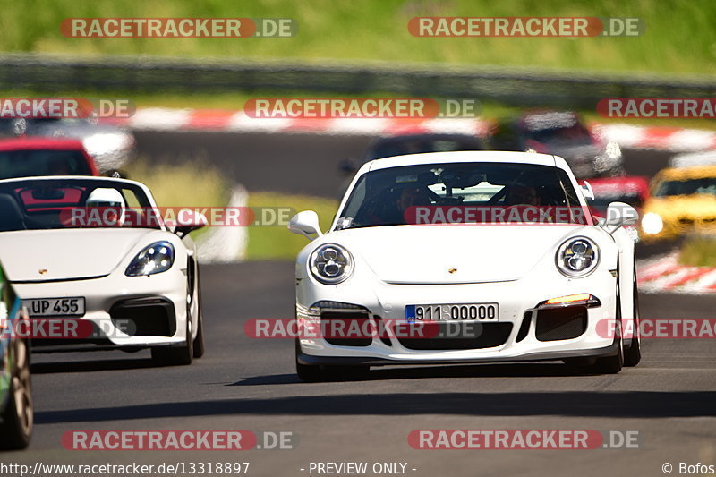 Bild #13318897 - Touristenfahrten Nürburgring Nordschleife (19.06.2021)