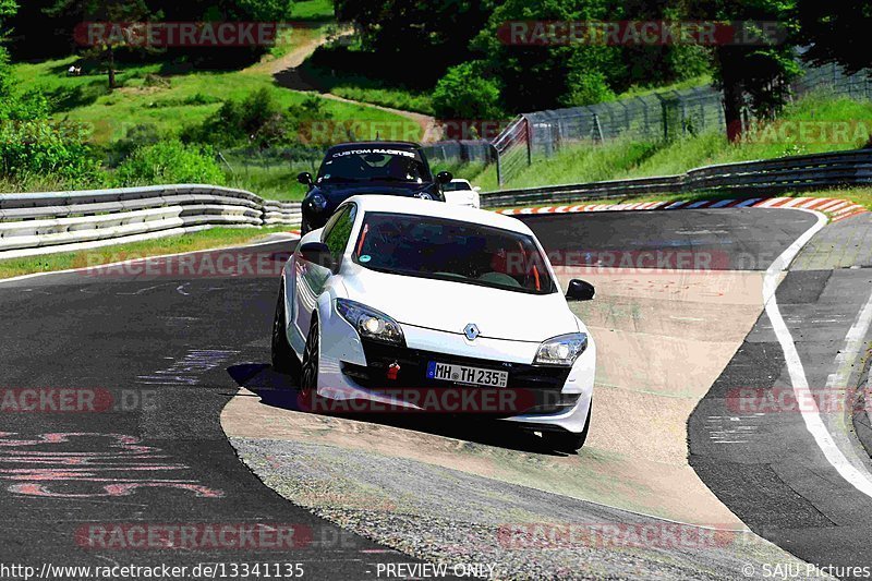 Bild #13341135 - Touristenfahrten Nürburgring Nordschleife (19.06.2021)