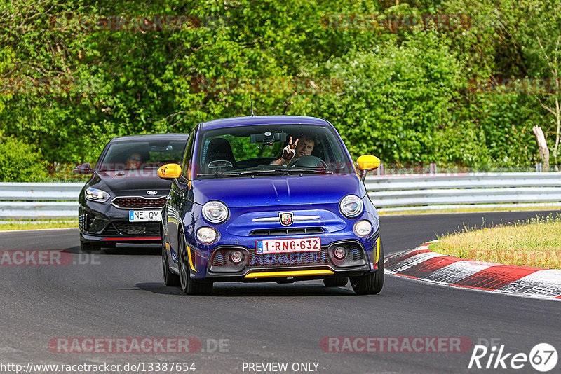 Bild #13387654 - Touristenfahrten Nürburgring Nordschleife (20.06.2021)