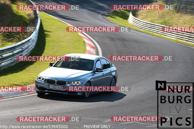 Bild #13645000 - Touristenfahrten Nürburgring Nordschleife (02.07.2021)