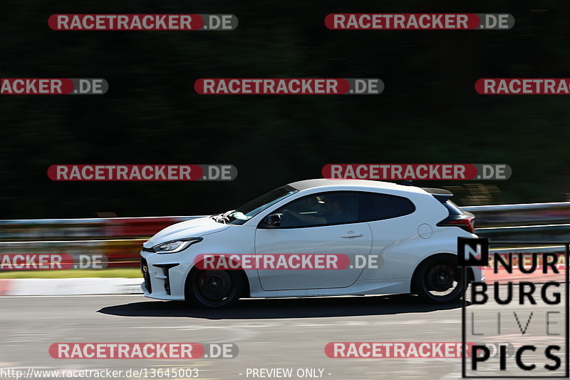 Bild #13645003 - Touristenfahrten Nürburgring Nordschleife (02.07.2021)