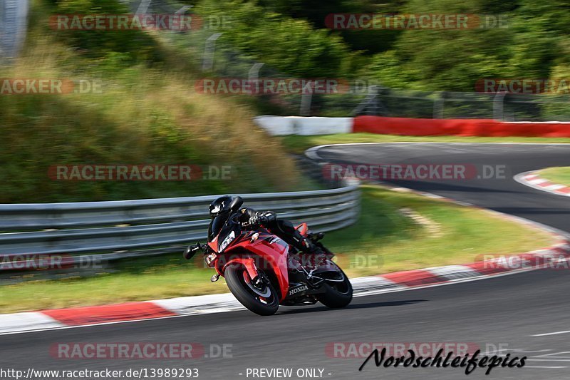 Bild #13989293 - Touristenfahrten Nürburgring Nordschleife (15.08.2021)