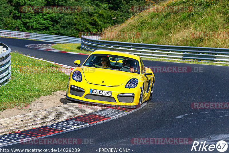 Bild #14029239 - Touristenfahrten Nürburgring Nordschleife (15.08.2021)