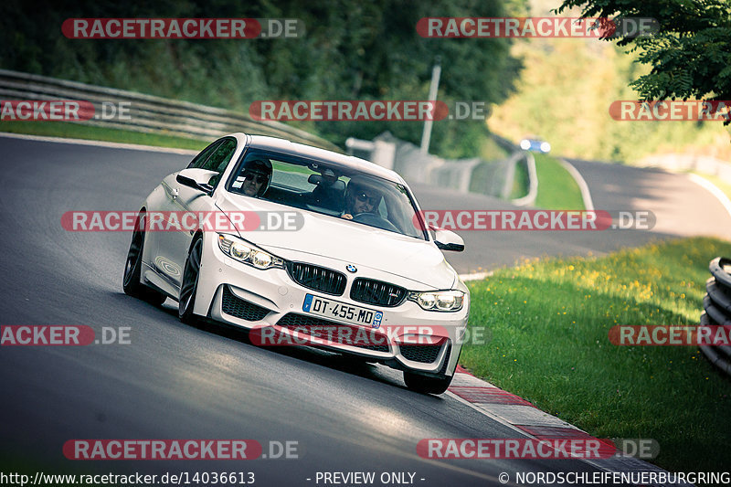 Bild #14036613 - Touristenfahrten Nürburgring Nordschleife (15.08.2021)