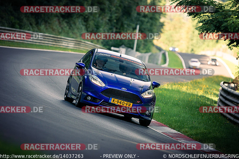 Bild #14037263 - Touristenfahrten Nürburgring Nordschleife (15.08.2021)