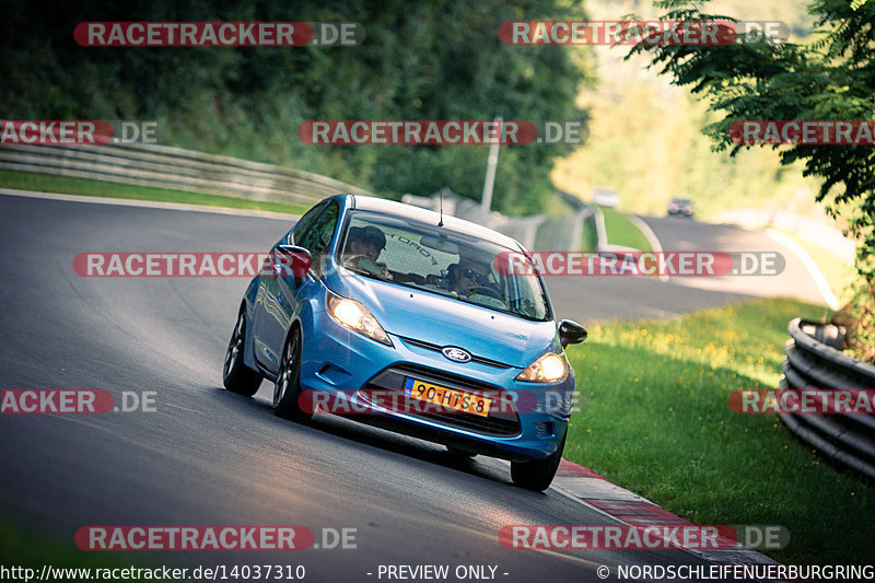 Bild #14037310 - Touristenfahrten Nürburgring Nordschleife (15.08.2021)