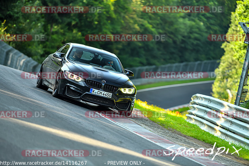 Bild #14116267 - Touristenfahrten Nürburgring Nordschleife (21.08.2021)