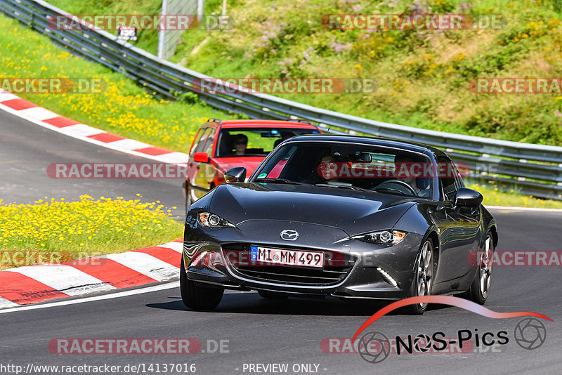 Bild #14137016 - Touristenfahrten Nürburgring Nordschleife (21.08.2021)