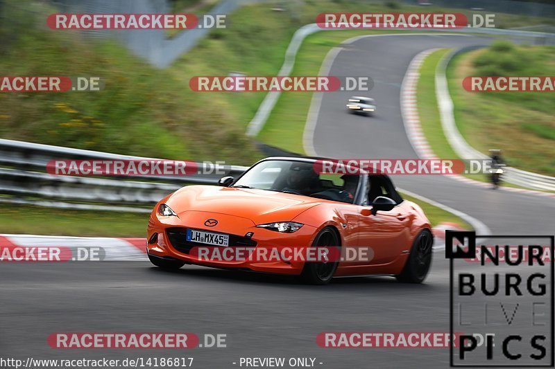 Bild #14186817 - Touristenfahrten Nürburgring Nordschleife (21.08.2021)