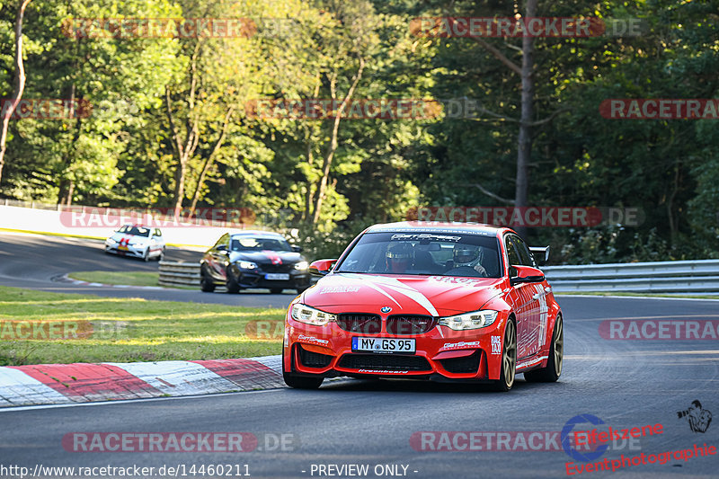 Bild #14460211 - Touristenfahrten Nürburgring Nordschleife (08.09.2021)