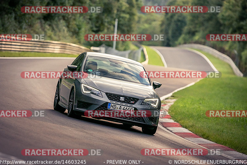 Bild #14603245 - Touristenfahrten Nürburgring Nordschleife (17.09.2021)