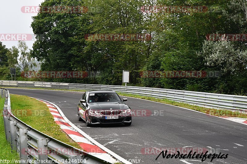 Bild #14246103 - trackdays.de - Nordschleife - Nürburgring - Trackdays Motorsport Event Management